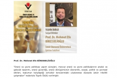 TÜBİTAK Incentive Award to Efe Biresselioğlu
