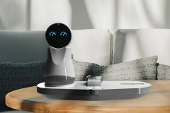 A ‘robot’ friend for the elderly 